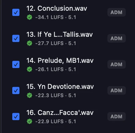 The track list with every ADM ticked — each showing its measured LUFS, the 5.1 re-render and an ADM badge